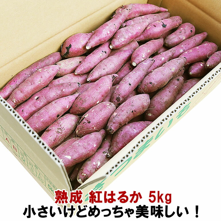 &nbsp; 商品詳細 商品名 鹿児島産『べにはるか規格外小さいサイズ5kg』 生産地 鹿児島県鹿屋市 内容量 約5キロ（規格外小さいサイズ） 送料 全国送料無料(離島・一部地域のお届けは追加送料がかかります。) 注意事項・備考 在庫状況によりお届けまでに日数がかかる場合がございます。ご使用のモニター環境などにより、画面上と実物では多少色味が異なって見える場合もございます。 冷蔵庫に入れず、風通しの良い場所に保管して下さい。 *天然の農産物ですので、 サイズ・甘さには多少のバラつきがあります。1本1本丁寧に検品しておりますが、目に見えない商品の傷みがある場合も稀にございますので、あらかじめご了承下さい。 &nbsp; べにはるか5kg はこちら &nbsp; べにはるか10kgはこちら