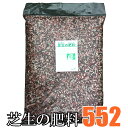 芝生の肥料 552 ゴーゴーニ 5kg 【送