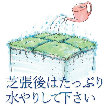 芝生 TM9 2平米 ティーエムナイン 鹿児島産 高麗芝 手入れが楽 簡単で見た目もキレイな芝生 楽天市場芝生ジャンル連続1位獲得 やっぱり人工芝より天然芝 ガーデニング DIY 美景観 省管理 少ない肥料【店頭受取対応商品】