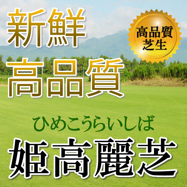 芝生 姫高麗芝 2平米 鹿児島産【店頭受取対応商品】