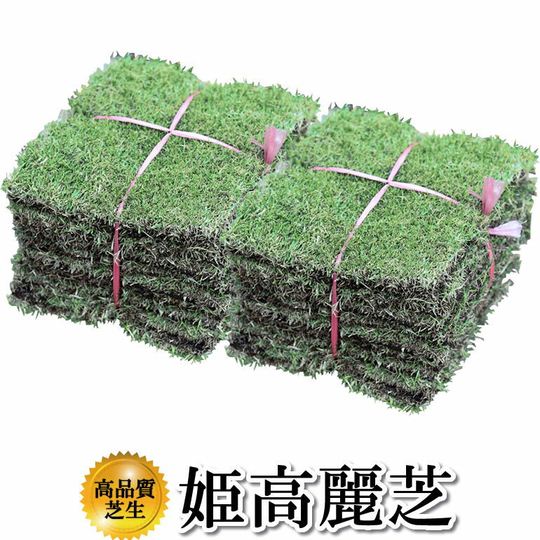 芝生が購入できる販売店おすすめ5選【通販情報あり】 | 超手抜きの芝生管理法