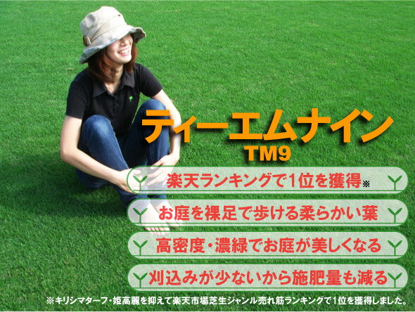 9位:17%OFF中【芝生】ティーエムナイン(高麗芝) TM9は刈り込みと施...