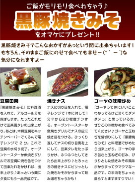 【令和元年産】特別栽培で育てた新米こしひかり5kg　おまけ付【送料無料】令和元年産　送料無料　無洗米　こしひかり　おおすみファーム　鹿児島　九州