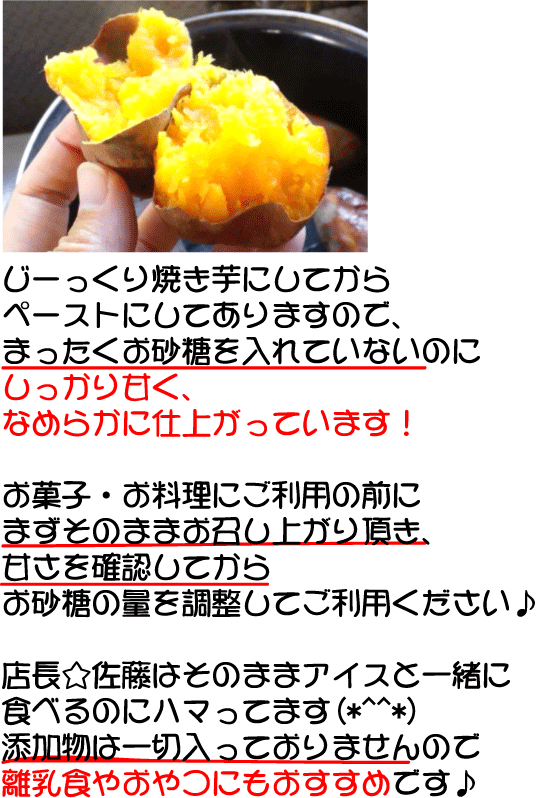 【2024年産安納芋予約開始】【送料込お試し】安納芋ペースト1kg