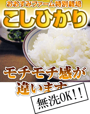 【令和元年産】特別栽培で育てた新米こしひかり5kg　おまけ付【送料無料】令和元年産　送料無料　無洗米　こしひかり　おおすみファーム　鹿児島　九州