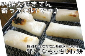 【数量限定販売】【お餅　送料無料】特別栽培で育てたもち米100％　贅沢なもっちりなのし餅850g【送料無料】のし餅 送料無料 鹿児島県産 餅 もち お餅 おもち 板餅 こもち 正月餅 お正月餅 無添加 つきたて 生餅 お歳暮 餅まき 焼き餅 きな粉餅 お雑煮 年末 年始