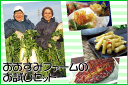 初めてのお客様はまずコチラから【お漬物】おおすみファームのお漬物お試しセット【送料無料】鹿児島 九州 お漬物 大根漬 おおすみファーム キムチ 10P03Sep16