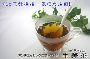 牛蒡茶90g（1か月分）×6袋【送料無料】ごぼう茶 半年分