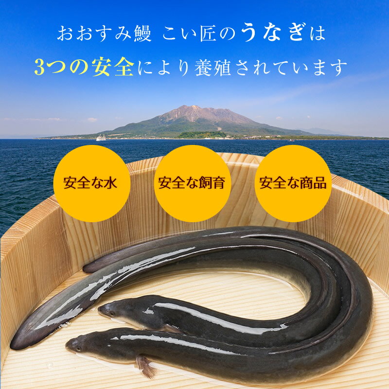 【九州匠うなぎ】きざみ鰻の蒲焼(100g)10Pセット / 送料無料 九州産 国産 うなぎ ウナギ 鰻 備長炭火焼き ギフト 贈り物 お祝い 内祝 プレゼント