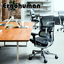 エルゴヒューマン プロ2 ロウタイプ Ergohuman PRO2 オフィスチェア メッシュ オットマン内蔵 アルミフレーム 独立ランバーサポート 高機能メッシ...