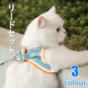 リードセット 小型犬 リード付き 脱げない 洗いやすい ハーネス 猫 犬 サイズ調節可能設計 ハーネスリードセット 夜間反射 3色 ハーネス 脱げない 小型犬 リードセット 洗いやすい ◆ 反射ネーム＆反射パイピングで夜間のお散歩も安心。◆【スタイル】：3種◆【サイズ】： M L XL （画像をご参考ください）※手で測っているので、1-2 cmの誤差があるかもしれません。◆【カラー】：画像色◆【素材】：ポリエステル◆【注意】：※ 商品写真はできる限り実物の色に近づけるよう加工しておりますが、お客様のお使いのモニター設定、お部屋の照明等により実際の商品と色味が異なる場合がございます。 9