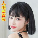 新作 ウィッグ 100%人毛ウィッグ 自然 オシャレ 女性 レディース かつら ナチュラル 桂 wig おしゃれ 人毛ウィッグ ミセス ショート モ..