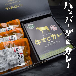 あか牛煮込みハンバーグと国産牛すじカレーセット 贈答用 お歳暮 ギフト ハンバーグ レトルトカレー 牛すじ 熊本 阿蘇 常温