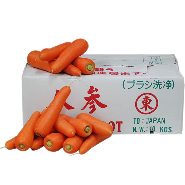 ＜箱売り＞　中国にんじん（人参）　1箱（約10kg）　＜業務用・大量販売＞＜RCP＞