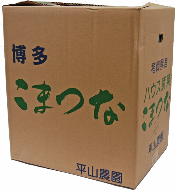 　小松菜（こまつな）　1箱（20袋入り／約4kg）　福岡産　