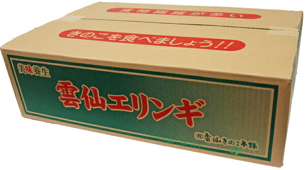 【箱売り】エリンギ　30パック入り1箱　【長崎産】 【業務用・大量販売】【RCP】