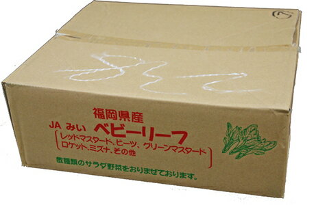 【箱売り】　ベビーリーフ　1箱（20袋入り）　九州産　【業務用・大量販売】【RCP】