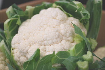 九州産　カリフラワー　体の中から美しくする！　（和名・花野菜・花キャベツ）　　1玉　九州の安心・安全な野菜！　【福岡・九州産・他・・時期により長野など】