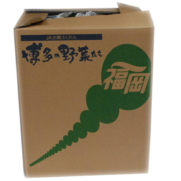 【箱売り】　水菜（みず菜）　1箱（200g×20袋入り）　福岡産　 【業務用・大量販売】【RCP】 3