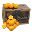 【箱売り】　オレンジ　1箱（56玉〜88玉入り）　[フロリダ産・南アフリカ・オーストラリア]　【業務用・大量販売】【RCP】 その1