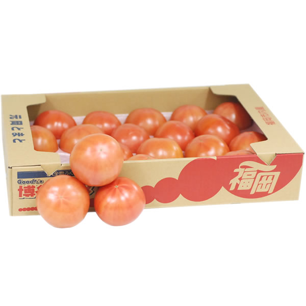 【トマト】【箱売り】　九州産　礫耕栽培　元岡とまと（とまと・トマト）　1箱（4kg/20玉～24玉入り）　九州・福岡産　【業務用・大量販売】　【RCP】