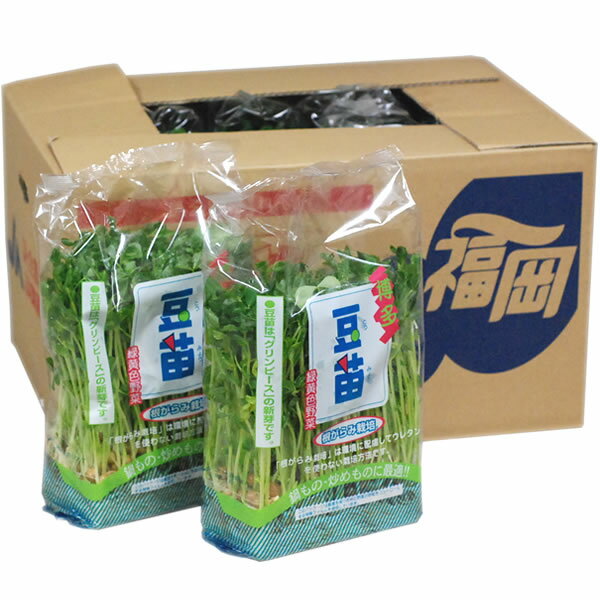 【箱売り】　豆苗（とうみょう）　1箱（10袋入り）　[福岡産・国産]　【業務用・大量販売】【RCP】