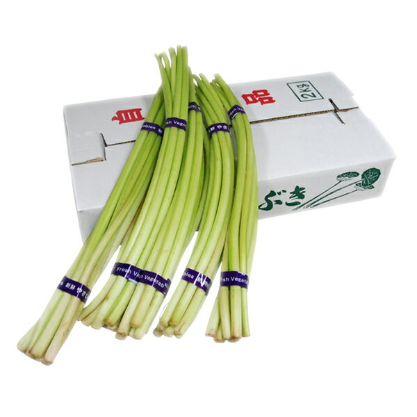 【箱売り】　九州産　つわぶき（むきツワ）　1箱（約2kg）　九州の安心・安全な野菜！　福岡・鹿児島・..