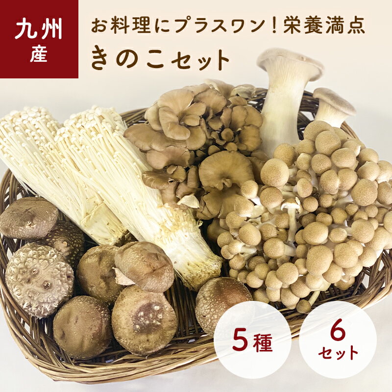 【スーパーSALE最大2000円OFF】 丸松物産 梅なめ茸 400g 2個 丸松 なめ茸 なめたけ 梅味 惣菜 梅 鰹節 業務用 大容量 ご飯のおとも 料理 アレンジ食材 トッピング食材 梅風味 万能 おうちの食卓に彩りを 様々な料理に活用 ガーリック風味との相性抜群 父の日 早割