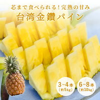 ★ポイント5倍 25日00:00～25日23:59★ 台湾パイン 5kg 10kg パイン 送料無料 完熟 ...