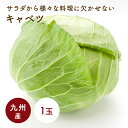 【ふるさと納税】伊豆からお届け！季節のサラダセット（ 南伊豆町 × 松崎町 ） 野菜 詰め合わせ 無添加 ドレッシング 和風ドレッシング 人参ドレッシング 野菜セット