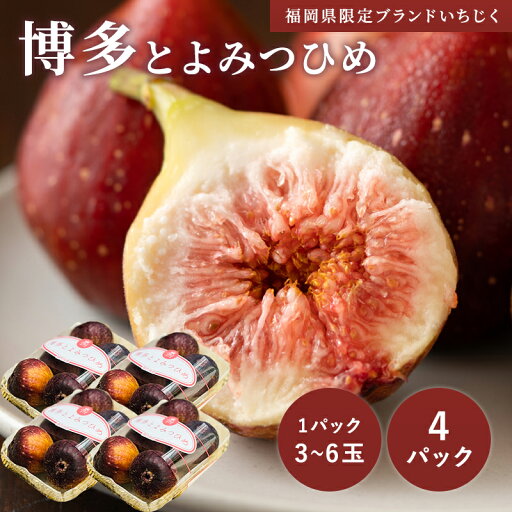 冷凍・とよみつ姫 福岡ブランド4パック 冷凍・とよみつ姫 福岡ブランド4パック