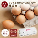 九州産卵セット 10玉 輝黄卵 卵 たまご 玉子 福岡産 九州