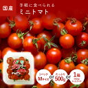 ミニトマト(プチトマト) 500g 1パック(Mサイズ) 1箱(S~2Lサイズ) 福岡・大分・長崎・九州産