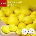 レモン(れもん) 2玉 1箱(115~165玉) アメリカ・チリ産