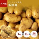 ばれいしょ(馬鈴薯・じゃがいも) 1kg 2kg 1箱(約10kg) 九州・長崎・熊本・鹿児島産