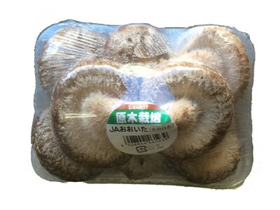 生椎茸（しいたけ）　約100g（6枚〜8枚入）　　＜長崎・大分・福岡・九州＞ 2