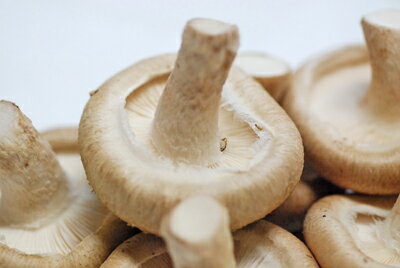 �������ʤ��������ˡ���100g��6���8�����ˡ�����Ĺ�ꡦ��ʬ��ʡ�����彣��