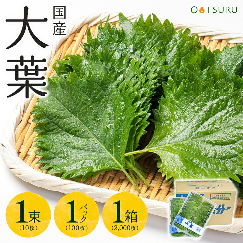 大葉（しそ） 1束（10枚）/1パック（100枚）/1箱（100枚入り1p×20p：計2000枚） 選べる内容量 ＜大分・九州産＞