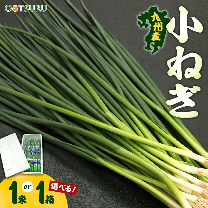 ���˂�(���K�E���l�M) 1��(100g) / 1��(100g×30������) �I�ׂ���e�ʁ������E����E��B�Y��