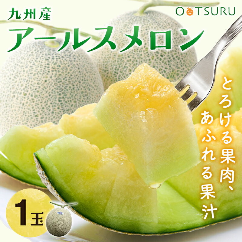 九州産　アールスメロン（メロン）　1玉　九州の安心・安全な果物！　熊本・宮崎産・長崎＜九州産＞