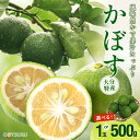 九州産 大分県の特産! カボス(かぼす・香母酢)1玉 / 500g 選べる内容量 九州の安心・安全な野菜!<大分産・国産>香酸柑橘