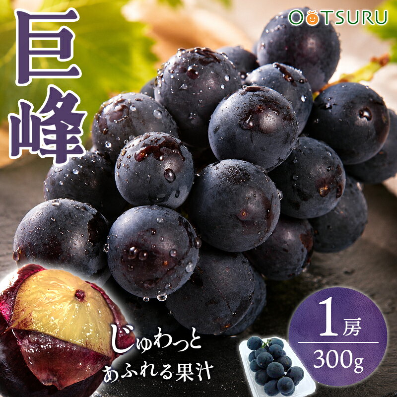 楽天市場】巨峰 特大の通販