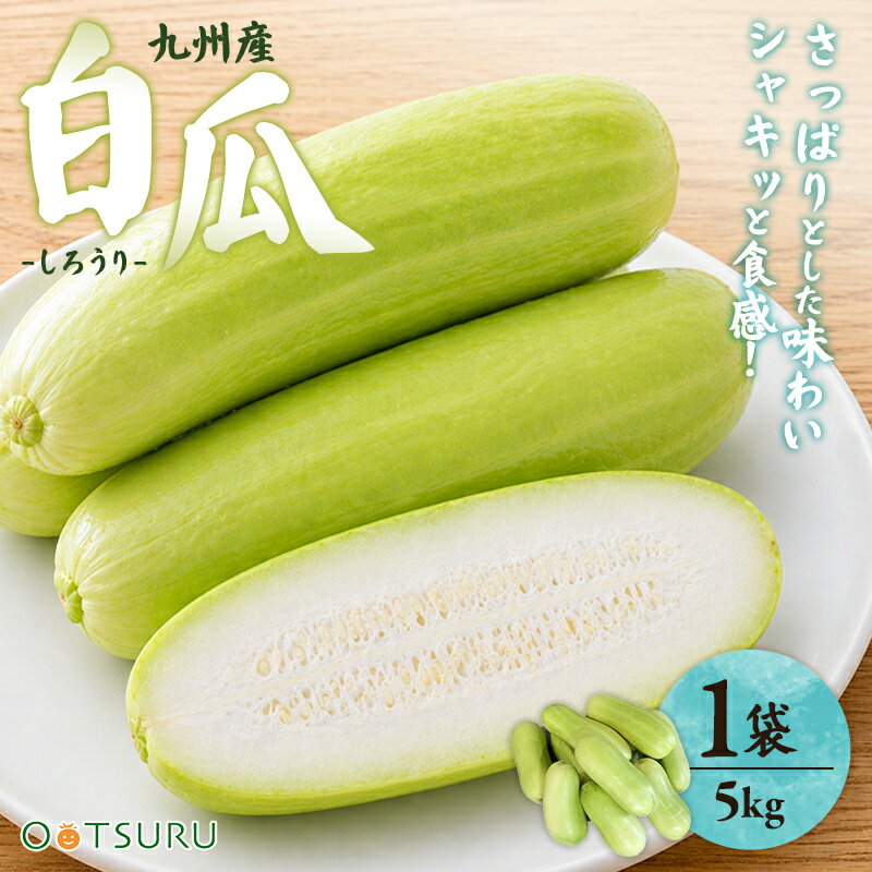 白瓜 しろうり 1袋 5kg(6~12本) ＜九州産＞