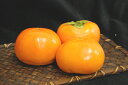 九州産 柿(富有柿・かき・カキ)3玉 九州の安心・安全な果物! 【福岡産】 - 大津留青果