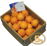 【柑橘】　デコポン（でこぽん）　1箱（約5kg）　九州・佐賀県松浦東部産　【RCP】