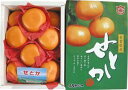 【柑橘】　せとか　1箱（約2.5kg/12玉入り）　化粧箱　佐賀県　松浦東部