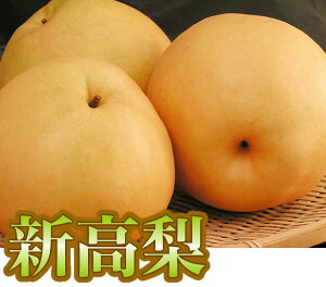 【梨】 新高梨(にいたか・梨・なし)1玉 大分県産 ☆天皇杯受賞産地 九州・日田の梨☆