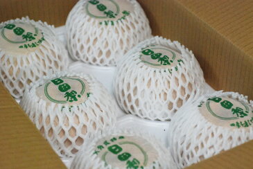 【梨】 九州産 新高梨(にいたか・梨・なし) 1箱(6個入り) 九州の安心・安全な果物! 大分県産 ☆天皇杯受賞産地 九州・日田の梨☆ 【10月中旬〜発送】【RCP】