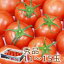 甲斐農園の美味しい塩とまと！【トマト】　塩トマト　秀品 1箱（約2kg/11玉～15玉入り）　熊本不知火産