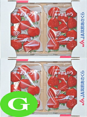 【いちご】　九州産　あまおう　G（グランデ）　2箱（4パック）　福岡産　九州の安心・安全な果物！　【RCP】